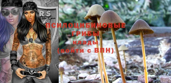 ГАЛЛЮЦИНОГЕННЫЕ ГРИБЫ Беломорск