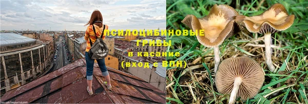 эйфоретик Белокуриха