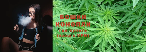 эйфоретик Белокуриха