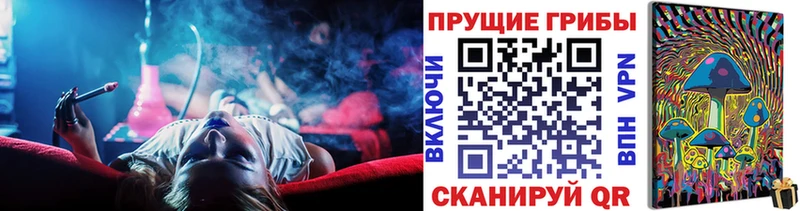 где продают   Демидов  Псилоцибиновые грибы мицелий 